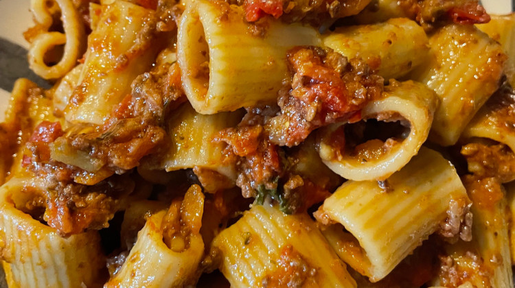 RIGATONI AU RAGOUT